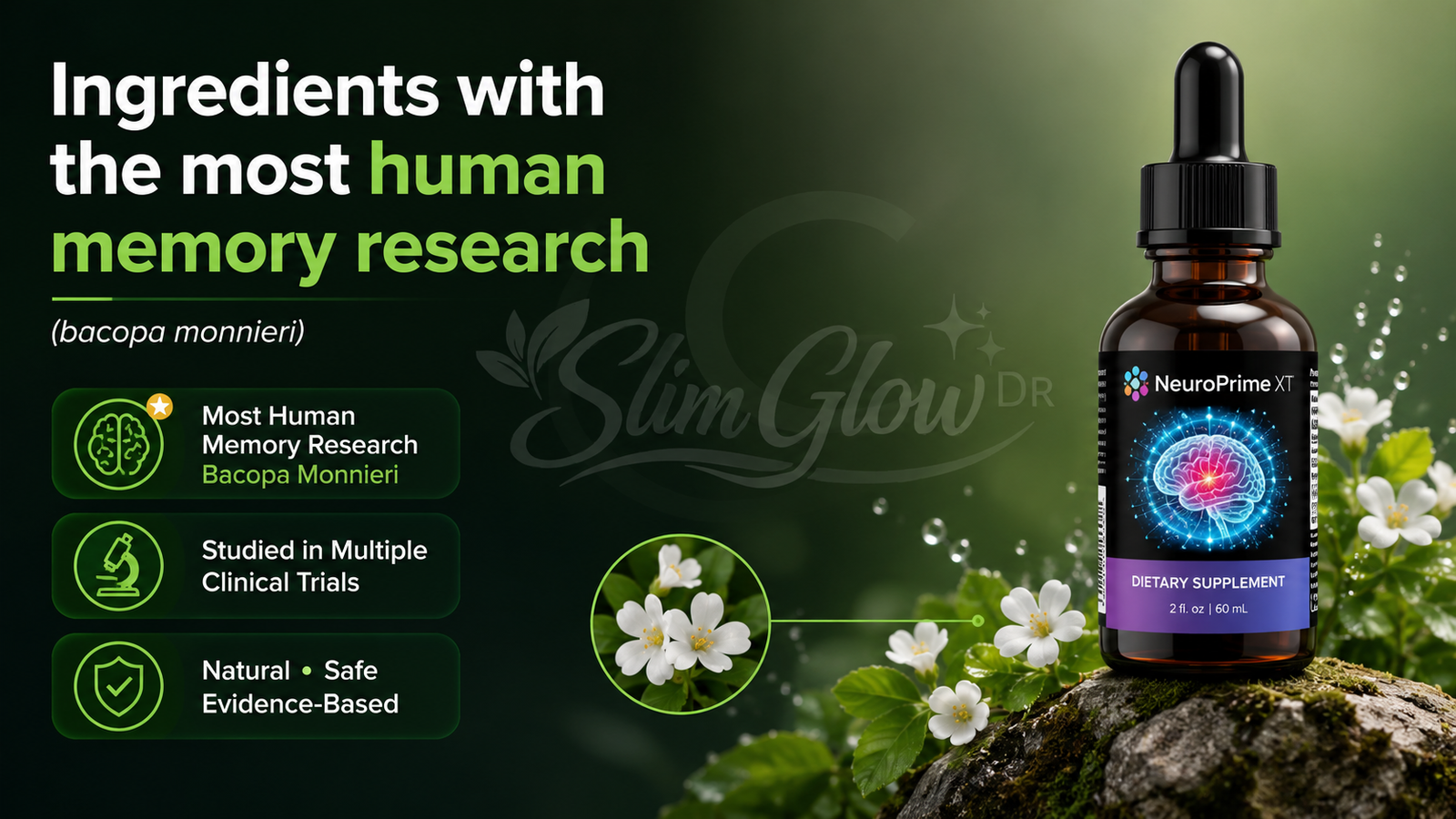 NeuroPrime Ingredients and What the Evidence Says